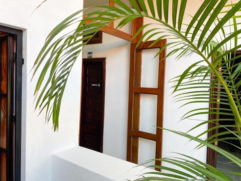 Palma junto a una puerta de madera